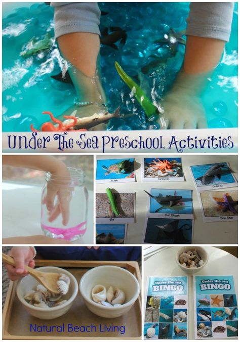 Montessori Inspired themed preschool activities, under the sea animals, practical life, sensory play, games, Alphabet craft, and more, Natural Beach Living Ocean Theme Preschool Activities, Under The Sea Preschool, Ocean Animals Preschool, Beach Theme Preschool, Summer Preschool Themes, Beach Crafts For Kids, Under The Sea Animals, Ocean Theme Preschool, Beach Themed Crafts