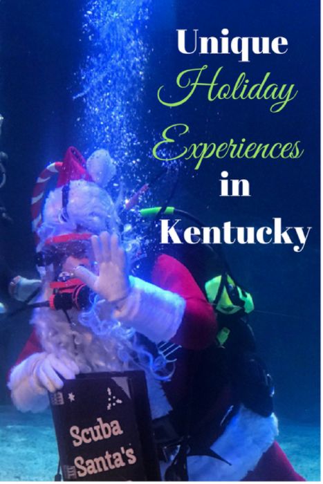 Kentucky Christmas, Adventure Mom, Brown Hotel, Kentucky Travel, Hot Brown, Usa Travel Guide, Us Travel Destinations, Holiday Events, Christmas Travel