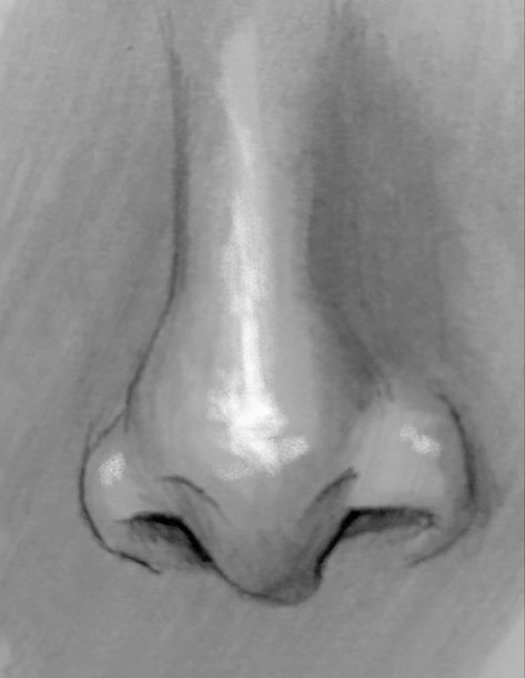 #drawing#art#nose Nose Pencil Drawing, Nose Drawings, Fat Nose, Art Nose, Draw Noses, Crooked Nose, Face Jugs, Womens Health Care, Nose Drawing