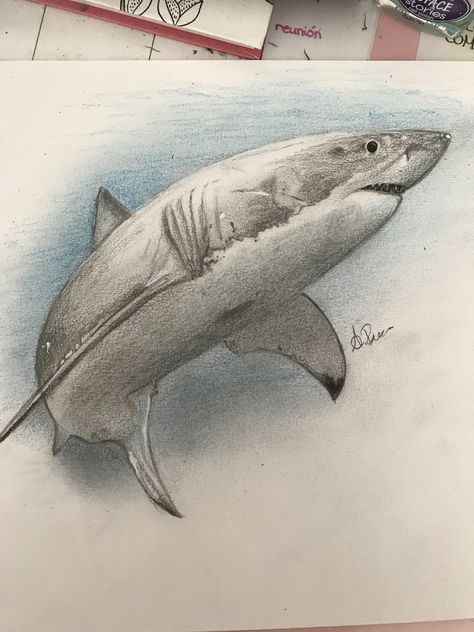 Shark Drawing Color Pencil, Shark Realistic Drawing, Shark Drawing Sketches, Great White Shark Drawing, Horror Drawings, Geometry Art Design, Woodburning Ideas, Shark Pictures, Shark Drawing