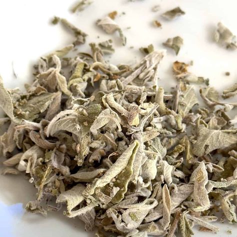 Sage Herbal Tea Recipe Benefits and Uses - Life is Better with Tea Sage Tea Recipe, Sage Tea, Herbal Therapy, Sage Plant, How To Dry Sage, Herbal Teas Recipes, Herbal Recipes, Aromatic Plant, Hair Upstyles