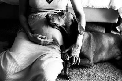 Photography Ideas Black Women, Maternity Photography Ideas Black Women, Home Maternity Pictures, Indoor Maternity Photos, Home Maternity Photography, Diy Maternity Photos, Indoor Maternity Photography, Maternity Photography Ideas, Baby Bump Photoshoot