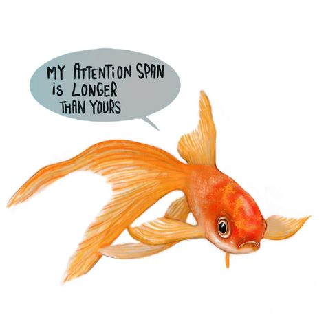 if your attention span is less than a goldfish, then you’ve already missed the point 😉 @allure 🎣🧠🫀📱🪐 Attention Span, June 22, Goldfish, On Instagram, Quick Saves, Instagram