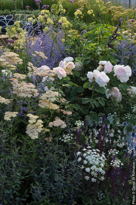 Rosemary Garden, Hampton Garden, Rosen Beet, Hampton Court Flower Show, Garden Catalogs, Country Gardens, Cottage Garden Design, Garden Girls, Home Landscaping