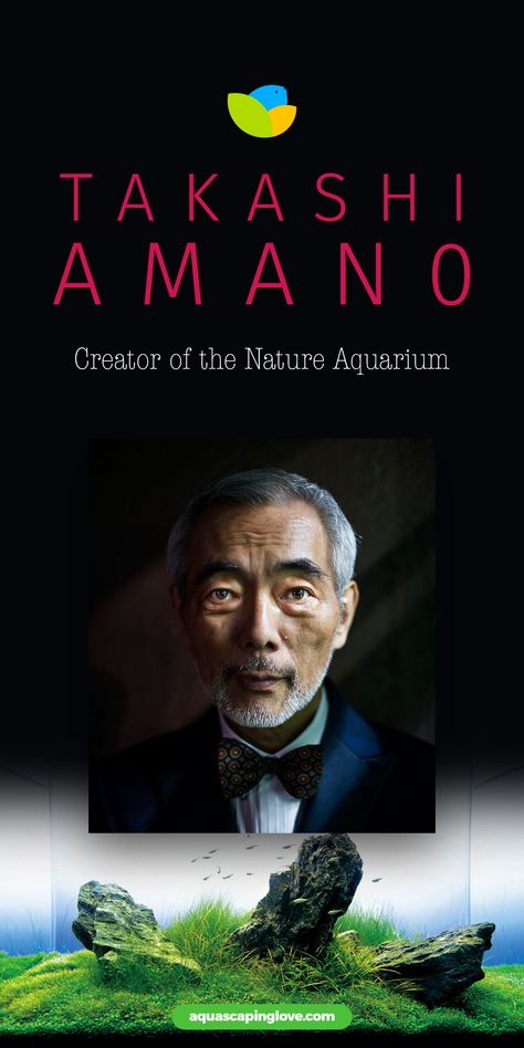 Takashi Amano created a whole new way of aquascaping. He combined Japanese gardening techniques, Wabi-sabi (a Japanese art style that seeks beauty in the imperfect, transient nature of objects), and Zen art. This combination was given the name Nature Aquarium.  The philosophy guiding his new term Nature Aquarium is that a complete ecosystem can only be one where plants and fish live in harmony and all of the species in the aquascape are living in their own perfect living environment. Takashi Amano Aquascaping, Japanese Aquascape, Japanese Aquarium, Takashi Amano, Natural Aquarium, Japanese Art Style, Biotope Aquarium, Fish Aquarium Decorations, Fish Tank Themes