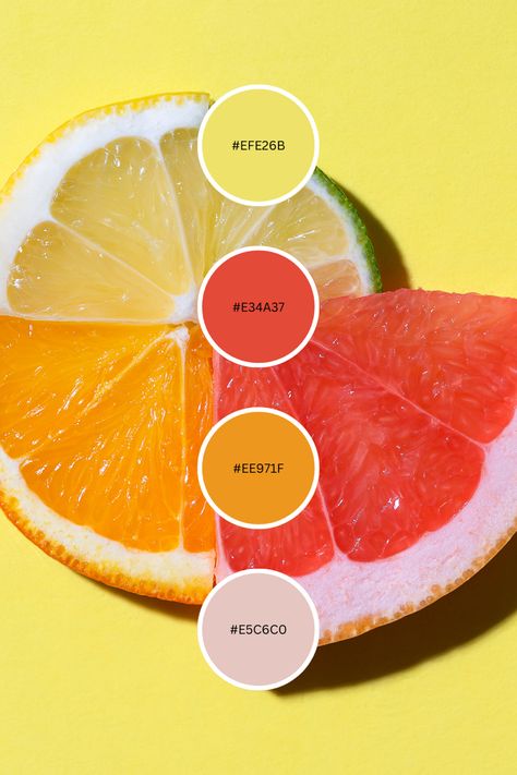 Fruity Colour Palette, Yellow Summer Color Palette, Passion Fruit Color Palette, Color Palette Fruit, Fruit Colour Palette, Color Palette For Food Brand, Fruit Color Palette, Citrus Color Palette, Food Colors Palette