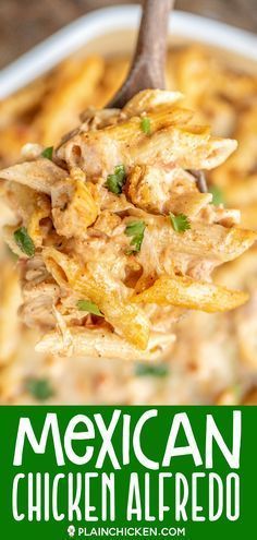 Mexican Chicken Alfredo, Pasta Alfredo Sauce, Alfredo Casserole, Chicken Alfredo Casserole, Mexikansk Mat, Casserole Chicken, Pasta Alfredo, Amazing Chicken, Pasta Casera