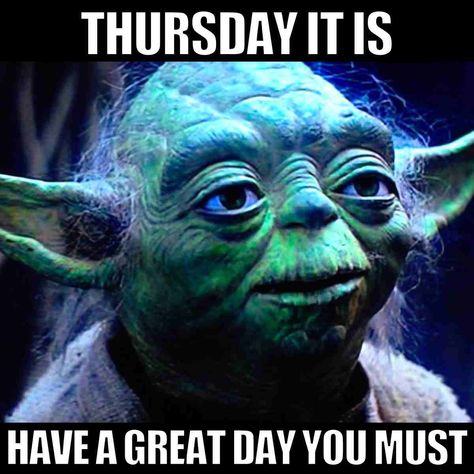 have a great thursday meme Thursday Memes Hilarious, Thursday Humor Funny Hilarious, Thursday Funny, Thursday Meme, Work Related Quotes, Friday Meaning, Good Morning Meme, Happy Thursday Images, Friday Memes