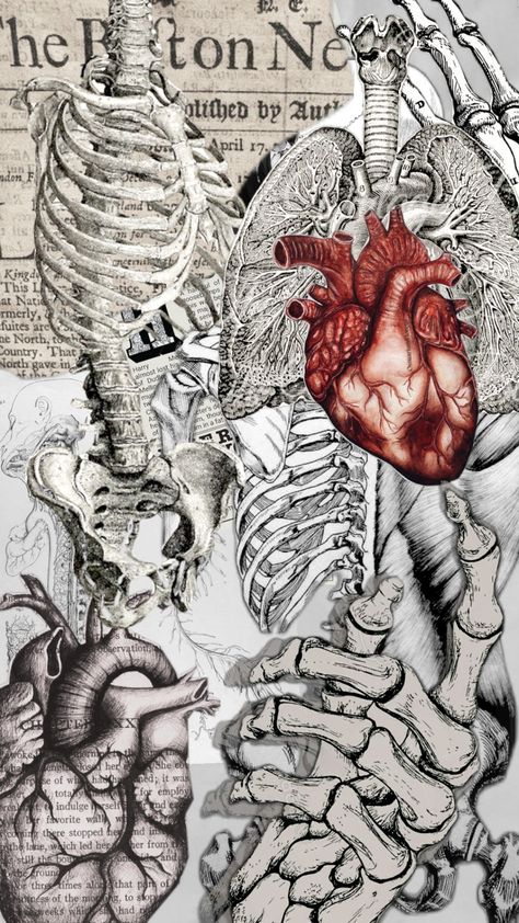 #medicine #anatomy #school #popular #coffeeaesthetic #aeshetic #wishlist #halloween #doctorwho #nurse #surrealism Medical Lockscreen, Medical Art Wallpaper, Medicine Art Anatomy, Medicine Aesthetic Wallpaper, Anatomy Background, Medicine Wallpaper, Medicine Anatomy, Vintage Medical Art, Anatomy Wallpaper