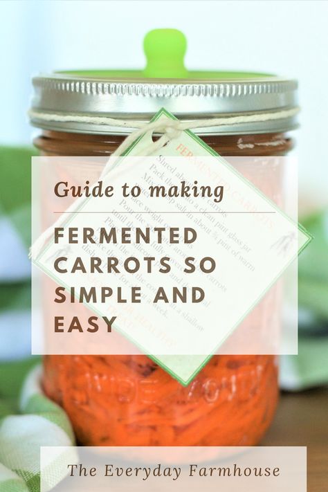 Fermented Carrots, Lacto Fermented Pickles, Fermented Vegetables Recipes, Metabolic Health, Fermented Veggies, Fermented Pickles, Fermentation Recipes, Rainbow Carrots, Carrot Sticks