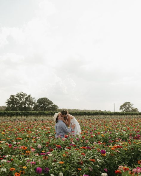 a proposal in a field of flowers > Rachel & Reed over the weekend in Fredericksburg at Becker Vineyards 🌸 Shot by BRP associate team - if I’m ever personally unavailable for your date, I have my associate team that is AMAZING & your gallery will always be cohesive with the BRP brand! Shot by associate Gabrielle 🤍 . . . . Dallas Texas photographer, Dallas wedding photographer, Texas wedding photographer Field Of Flowers Proposal, Proposal In A Field, Proposal Must Haves, Flower Field Proposal, Field Proposal, Flowers Proposal, Proposal Flowers, Proposal Pictures, A Field Of Flowers