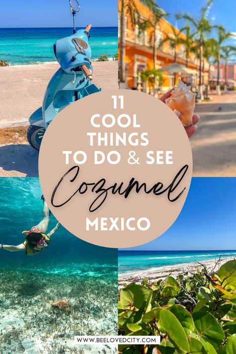 Things To Do In Cozumel Cruise Port, Things To Do In Playa Del Carmen, Cozumel Mexico Things To Do In, What To Do In Cozumel, Cozumel Mexico Cruise, Things To Do In Cozumel, Cozumel Excursions, Cozumel Cruise, Enchantment Of The Seas