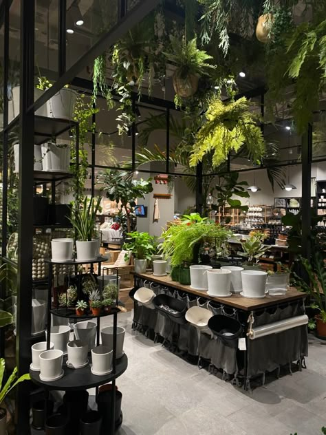 House Plant Shop, Flower Store Design Interior, Flower Store Interior, Plant Store Aesthetic, Plant Shop Aesthetic, Florist Shop Interior, Garden Center Displays, Flower Shop Interiors, Florist Studio