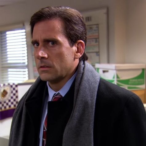 The Office Reaction Pics, Celebrity Reaction Pics, Reaction Stickers, Mood Icon, Funny Reactions, Michael Scott The Office, Meme Pics, Image Meme, Office Jokes