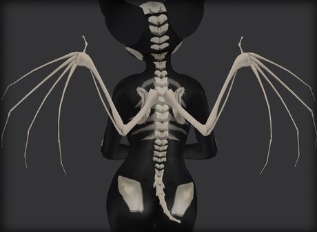 Bone Bat Wings Winged People, Wings Drawing, Drawing Tutorials For Beginners, Dark Art Drawings, Wings Design, Drawing Reference Poses, Bat Wings, Second Life, Fantasy Creatures