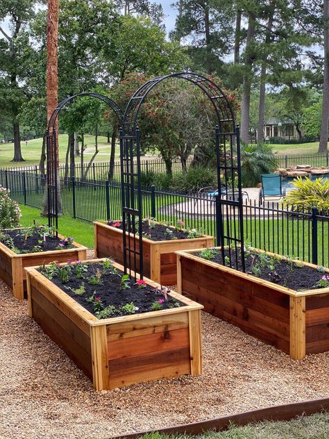 Driveway Vegetable Garden, Big Backyard Landscaping Designs, Raised Bed Garden Arch, Vegetable Garden Archway, Rooted Garden, Arch With Flowers, Raised Garden Beds Diy Vegetables, Raised Garden Planters, Planters Garden