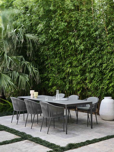 Ben Scott | Doherty Design Studio | Malvern Residence | est living_5 Landscape Design Front Yard, Front Yard Rock Garden, Residence Landscape, Bamboo Landscape, Landscape Yard, California Backyard, Courtyard Ideas, Roof Gardens, Modern Outdoor Dining