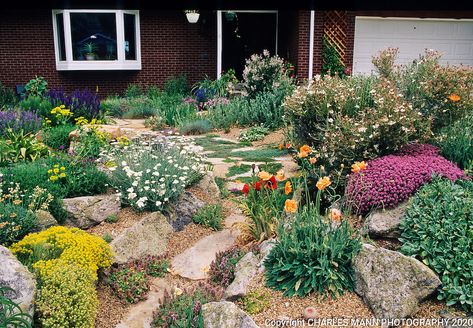 Xeriscape Garden, Colorado Landscaping, Xeriscape Plants, Xeriscape Front Yard, Xeriscape Landscaping, Drought Tolerant Garden, Drought Tolerant Landscape, Dry Garden, Drought Tolerant Plants