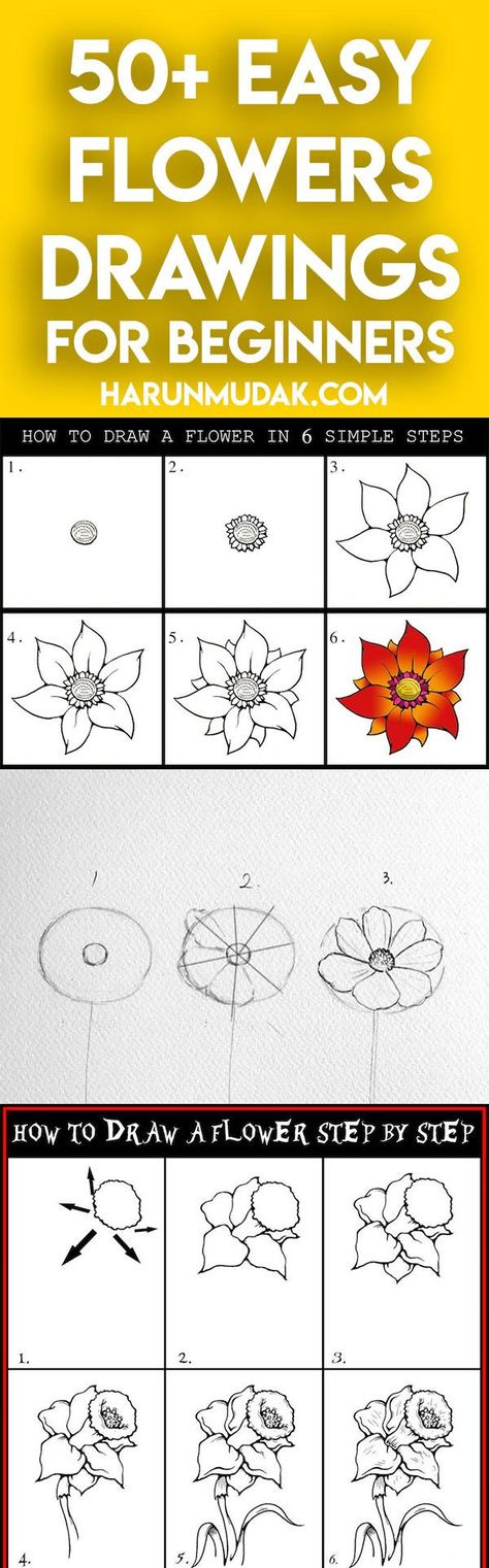 New Mexico Flowers, Mexico Flowers, Flowers Step By Step, Very Easy Drawing, Simple Flower Drawing, Easy Flower Drawings, Pencil Drawings Of Flowers, Flower Step By Step, Easy Drawing Steps