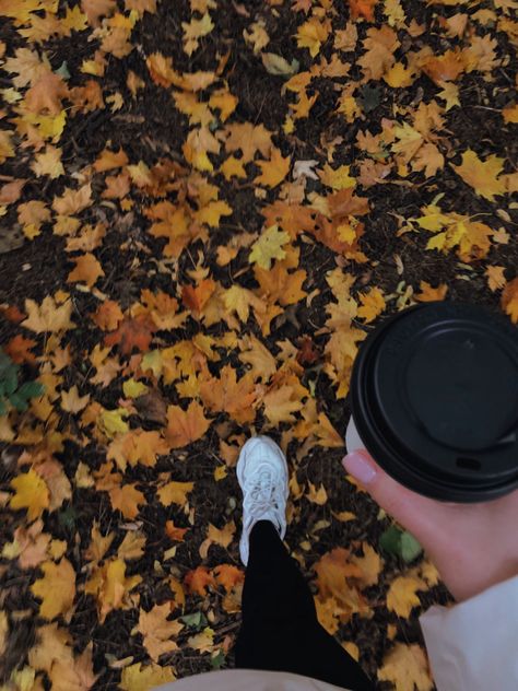 Workout Fall Aesthetic, Autumn Gym Aesthetic, Running Fall Aesthetic, Fall Health Aesthetic, Cozy Sunday Aesthetic, Fall Walks Aesthetic, December Vision Board Aesthetic, Fall Running Aesthetic, Fall Walk Aesthetic