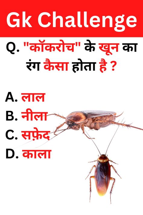 Top 20 Gk Questions And Answers || Gk Question || Gk Quiz || Gk in Hindi General Knowledge PT-7 👉 top 20 gk questions with answers 👉 gk questions with answers 👉 gk questions in hindi 👉 gk questions and answers in hindi 👉 gk questions 👉 gk quiz questions 👉 gk quiz 👉 general knowledge 👉 general knowledge quiz with answers 🔎 HASHTAGS 🔎 #gkstudytour #gkquestionsandanswers #gkquestions #gkquestion #top20gkquestionandanswer #gk #gkquiz #gkinhindi #indiagkinhindi Gk Quiz Questions Hindi, Gk Questions And Answers In Hindi, Gk Questions And Answers In English, General Knowledge Quiz With Answers, Gk Knowledge In Hindi, Gk Question In Hindi, Gk Quiz Questions, India Gk, Youtube Facts