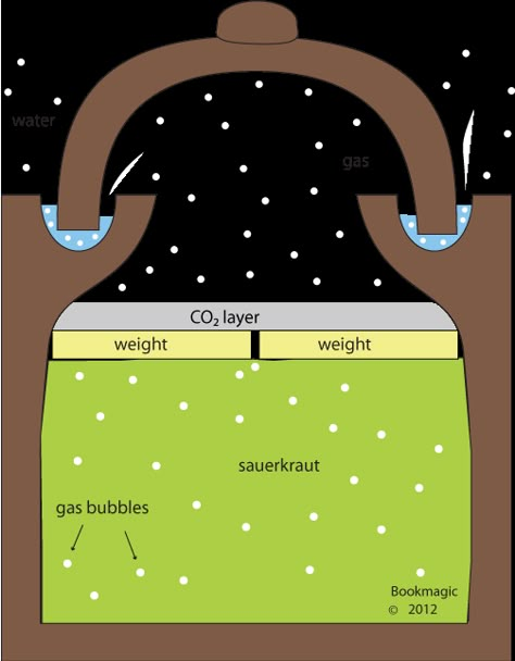 sauerkraut fermenting water channel Leftover Cabbage, Fermenting Crock Pots, Fermenting Jars, Alternative Energie, Fermentation Crock, German Word, Fermented Cabbage, Pottery Lessons, Pottery Form