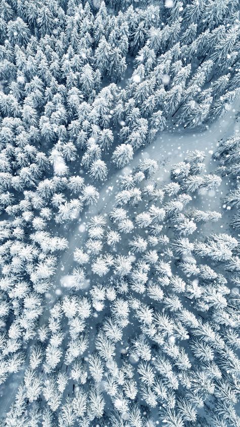 Snow Blue Wallpaper, Snowing Aesthetic Wallpaper, Winter Snow Wallpaper, Winter Wallpapers, Wallpaper Forest, Snow Forest, Snowy Forest, Travel Wallpaper, Wallpaper Iphone Christmas