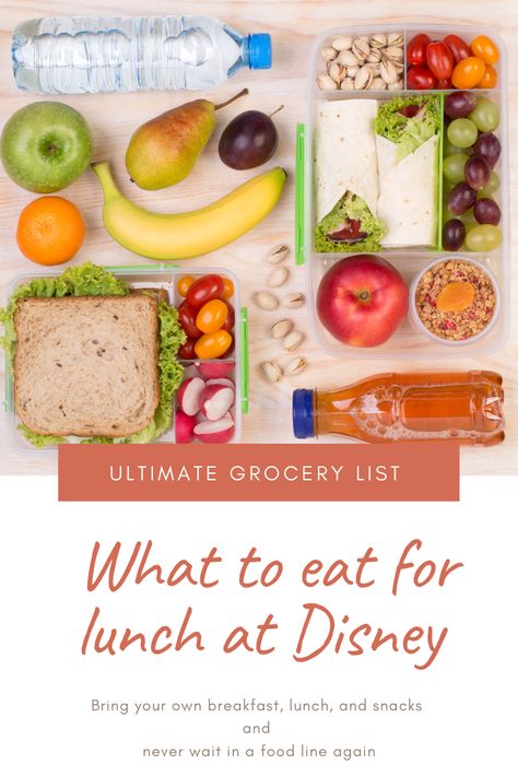 how to bring your own food to disney, what to pack for lunches while at Disney World,  snack ideas for Disney world, grocery list for Disney world, what to bring to Disney world for lunch, take your own food to Disney world, take your own food to theme parks #disneyfood #disneysnacks #disney #disneyhacks #disneytips #disneytricks Taking Food Into Disney World, Lunch Ideas For Disney World, Best Food To Pack For Disney, Snack Ideas For Disneyland, Lunches To Pack For Disney World, Packing Food For Disneyland, Meals To Pack For Disney World, Food To Take To Disney World, Packing Snacks For Disney