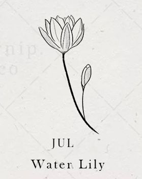 Fine Line July Flower Tattoo, Water Lily Tattoo Behind Ear, Black And White Water Lily Tattoo, Water Lily Finger Tattoo, Waterlilly Tattoo Fineline, Waterlilly Tattoo, Willow Tattoo, April Bujo, Water Lily Tattoo