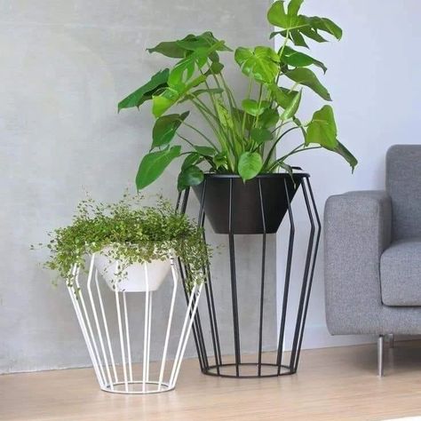 Pot stand 🌿🌻 | Garden decor ideas #potstand #flowerpot #flowerpots #flowerpotstand #homedesignsdworld #decorativegarden #ironpotstand #cookinghacks #gardendecor #chailover #fashioninspiration Studio Plants, Plant Office Design, Succulent Garden Outdoor, Kursi Bar, Modern Plant Stand, Rustic Planters, Relaxing Outdoors, Leather Factory, Metal Plant Stand