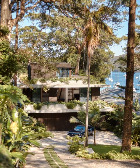 Concrete Home Design, Modernist Home, California Bungalow, Timber Ceiling, Concrete Home, Landscape Construction, Victorian Cottage, Stone Feature, Open Plan Living