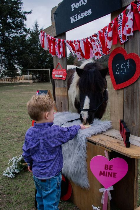 Pony Kisses Valentine Kissing Booth for a child. This little boy is feeding the horse a cookie! Dana Jenkins Photography at Jenkins Ranch Western Valentines Photoshoot, Diy Dog Kissing Booth, Valentines Horse Photoshoot, Valentines Kissing Booth Diy, Horse Trailer Photo Booth, Fall Festival Activities, Horse Valentine, Pony Photoshoot Children, Valentine Photo Shoot