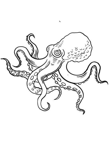 Traditional Tattoo Outline, Octopus Coloring Page, Octopus Drawing, Octopus Tattoo Design, Octopus Tattoos, Tattoo Pictures, Tattoo Outline Drawing, Old School Tattoo Designs, Tattoo Portfolio