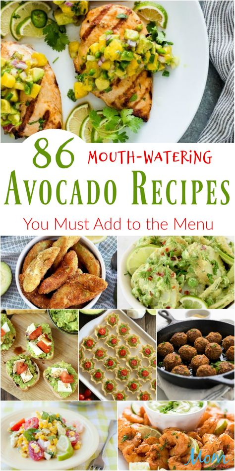 Avocado Food, Recipes Avocado, Avocado Dessert, Menu Recipes, Avocado Salat, Stuffed Avocado Healthy, Eggplant Recipes, Recipe Roundup, Avocado Recipes