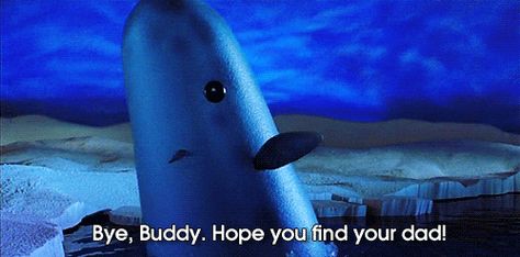 Mr. Narwhal is arguably the best part of the movie "Elf." | The Narwhal Is The World's Most Magical Animal Elf Narwhal, Mr Narwhal, Buddy The Elf Quotes, Elf Quotes, Elf Characters, Elf Movie, Buddy The Elf, Movie Lines, Narwhal