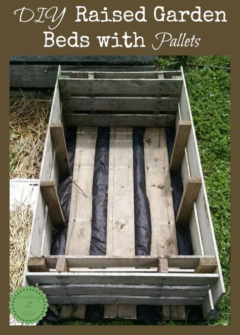 DIY Raised Garden Beds with Pallets - Something 2 OfferSomething 2 Offer Beds With Pallets, Diy Raised Garden Beds, Beds Diy, Vegetable Garden Raised Beds, Pallet Beds, Building A Raised Garden, Pallet Planter, Diy Raised Garden, Raised Garden Beds Diy