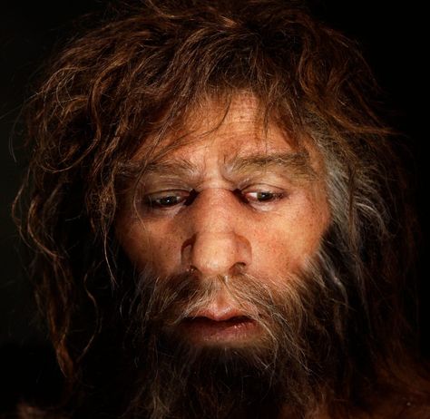 Prehistoric Man, Human Genome, Early Humans, Human Evolution, Human Species, Primates, Anthropology, Ancient History, Scientists