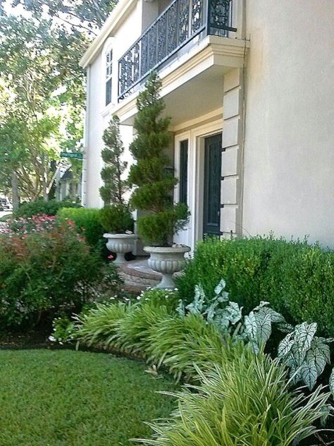 Creative Landscape Ideas with Big Impact Boxwood Shrubs, Boxwood Landscaping, Creative Landscape, Yard Landscape, Grasses Landscaping, Front Landscaping, Garden Shrubs, Have Inspiration, Home Landscaping