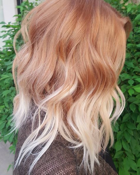 Melissa Evans on Instagram: “Quite possibly my favorite blonde ever. #apricot #blonde #hairstyles #haircolor #balayage #color #colormelt #behindthechair…” Jahodová Blond, Apricot Blonde, Cute Blonde Hair, Strawberry Blonde Hair Color, Cute Blonde, Ginger Hair Color, Blonde Hairstyles, Balayage Color, Strawberry Blonde Hair