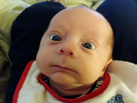 No way! 12 hilariously surprised babies Funny Baby Faces, Funny Baby Pictures, Funny Baby Memes, Funny Pictures With Captions, Baby Faces, Baby Memes, Baby Gif, Total Body, Funny Faces