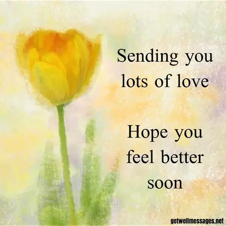 51 Get Well Images with Heartfelt Quotes | Get Well Messages Get Well Images, Get Well Soon Images, Get Well Prayers, Get Well Soon Wishes, Get Well Soon Quotes, Hope Youre Feeling Better, Get Well Soon Messages, Get Well Soon Flowers, Get Well Messages