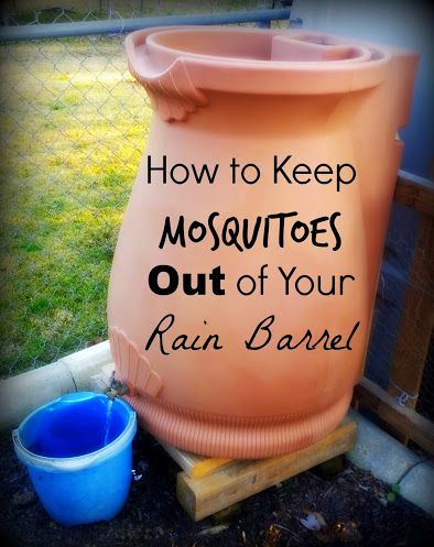 Barrels Diy, Water Barrel, Survival Garden, Rain Collection, Hemma Diy, Water Collection, Rainwater Harvesting, Rain Barrel, Rain Water Collection