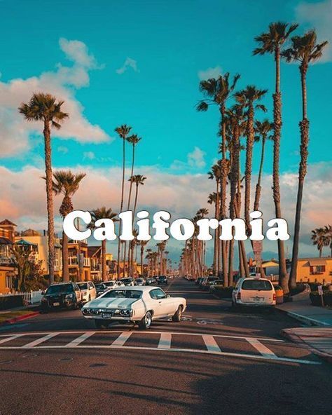 Find Entertainment , Dining, Travel, Real-estate and more to do in California Los Angeles California Photography, America Flag Wallpaper, Los Angeles Wallpaper, California Aesthetic, Los Angeles Beaches, Aesthetic Vsco, California Vibe, California Sunset, Real Estate Branding