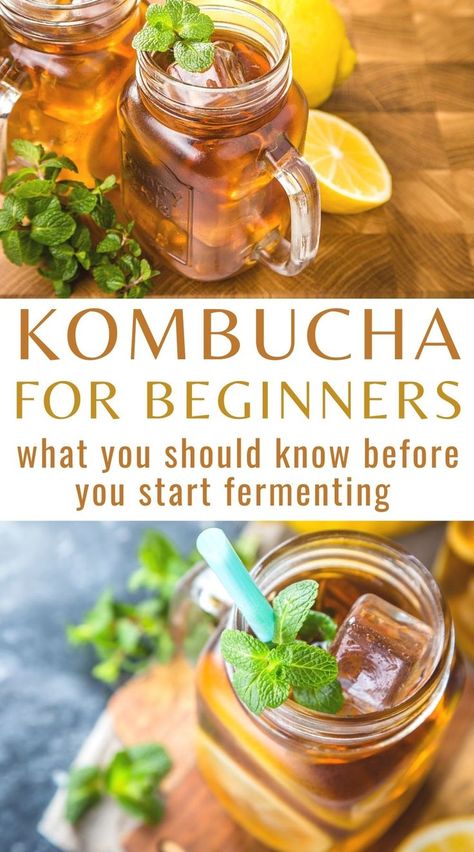 Make Kombucha, Kombucha Starter, Kombucha Scoby, Caffeine In Tea, Kombucha Recipe, Kombucha Tea, Gut Health Recipes, Fermented Drink, Quit Drinking