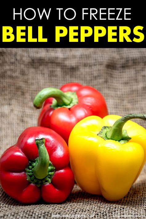 Want to know how to freeze bell peppers properly? This short guide will show you exactly what you need to do.  #bellpeppers #freezefood #freeze #kitchenhacks #kitchentips #foodhacks #foodtips #cooking #cookingtips #cookinghacks Freezing Red Bell Peppers, Freezing Red Peppers, Can You Freeze Bell Peppers, Can You Freeze Peppers, How To Freeze Bell Peppers, Freezing Roasted Peppers, Freezer Veggies, Freeze Bell Peppers, How To Freeze Peppers