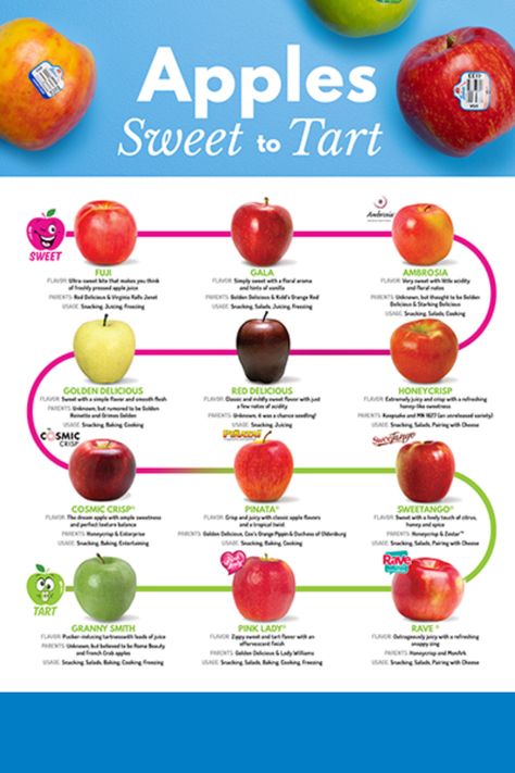 With all the apple varieties there has to be a way to put them in order. Say hello to the Apple Sweetness Scale: a placement map of apples ranging from the sweetest to tartest. This chart is great for when you can't quite pick the flavor you are after. 🍏 🍎 If you are looking for where your favorite apple lands, click the link and tell us if you prefer sweet or tart! Sweetest Apples Chart, Apple Sweetness Chart, Apple Chart, Apple Chai, Fruit Facts, Fruit Nutrition, Apple Benefits, Power Snacks, Fresh Snacks