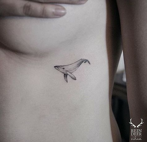 Un chat. Small Feminine Tattoos, Whale Tattoo, Whale Tattoos, Tattoo Trend, Shark Tattoos, Rib Tattoo, 문신 디자인, Nature Tattoos, Little Tattoos