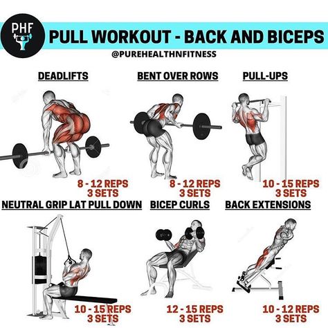 Mens Bicep Workout, Bicep Workout Gym, Back And Biceps Workout, Pull Day Workout, Pull Workout, Push Pull Workout, Back Workout Routine, Back And Bicep Workout, Back Day Workout