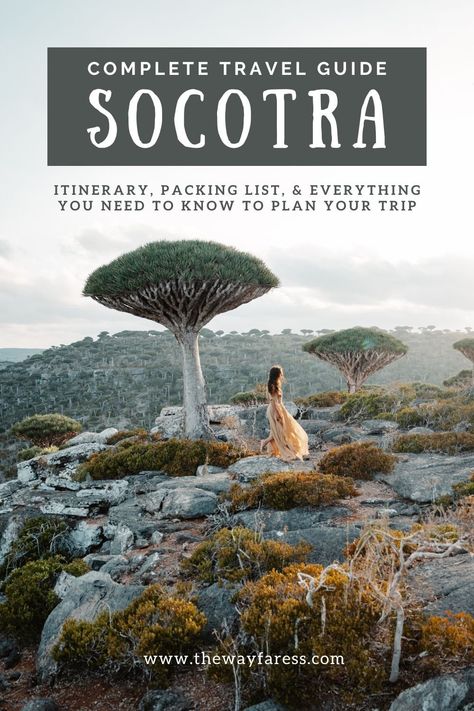 The Ultimate Travel Guide to Socotra Island: What You Need to Know Before You Go — The Wayfaress Socotra Yemen, Socotra Island, Socotra, Yemen, The Middle East, Cultural Heritage, Dream Destinations, Plan Your Trip, Middle East