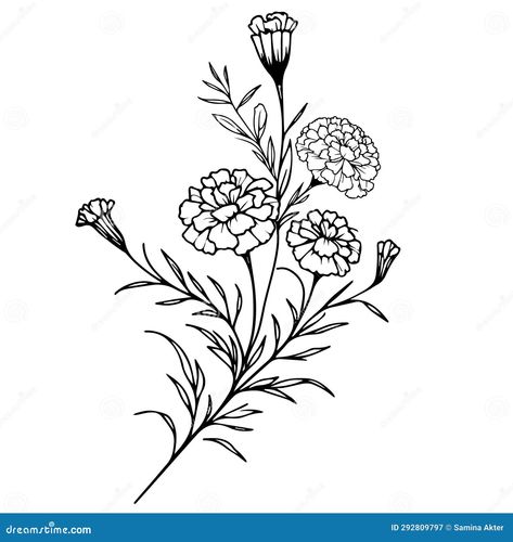 Marigold Drawing Tattoo Ideas, Marigold Flower Stencil, Black Marigold Tattoo, Mexican Marigold Tattoo, Marigold Doodle, Marigold Flower Tattoo Black And White, Marigold Line Drawing, Marigold Outline, Marigold Sketch